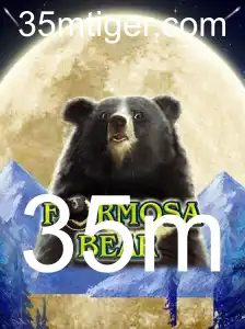 FormosaBear: Uma Aventura de Estratégia e Sustentabilidade